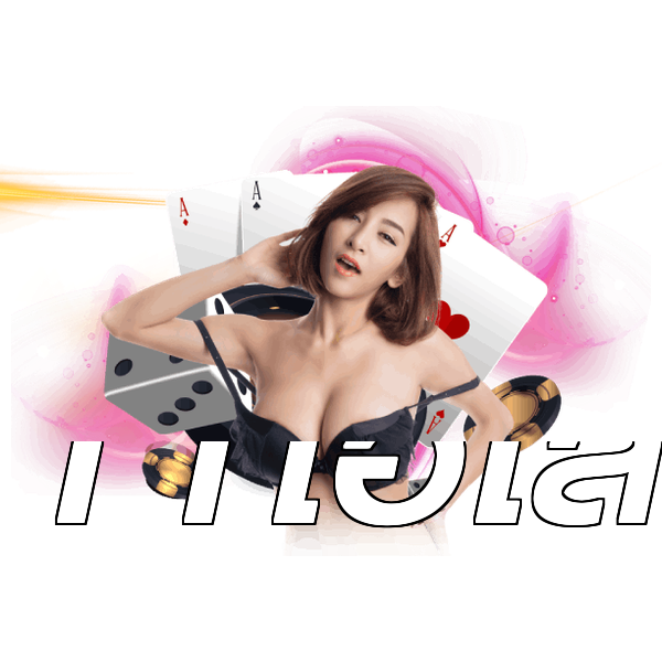 11ไฮโล
